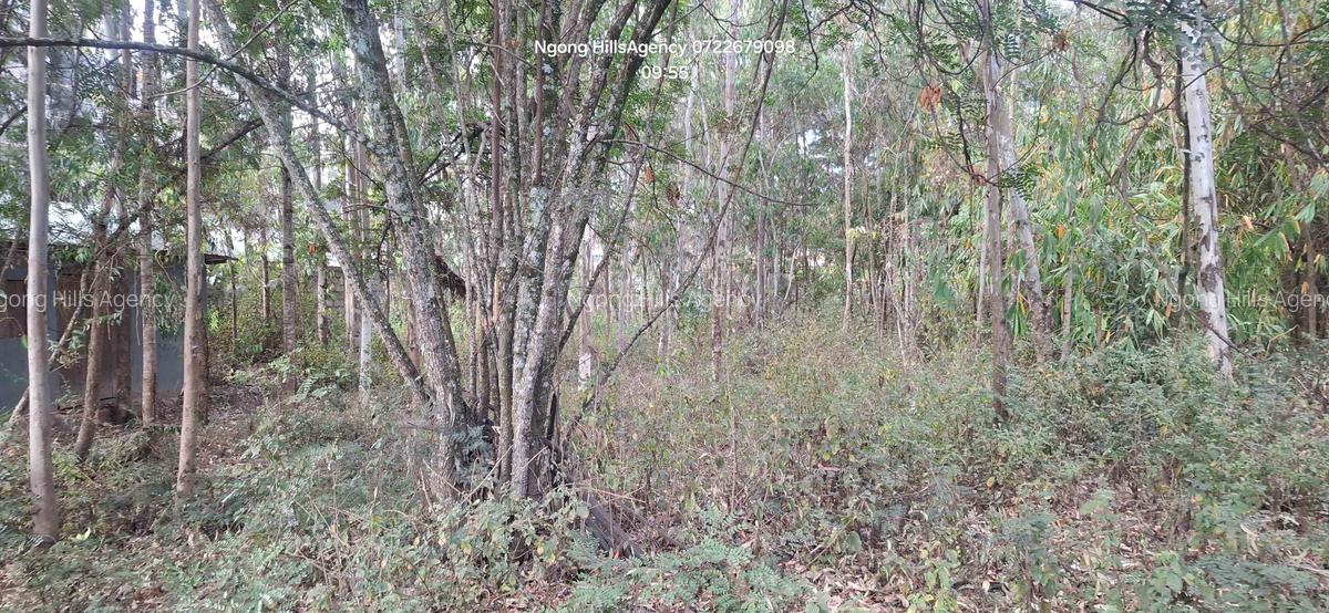 Commercial Land at Embulbul - 5