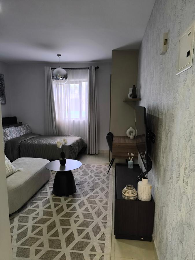 Studio Apartment with En Suite at Naivasha Road Nairobi - 5