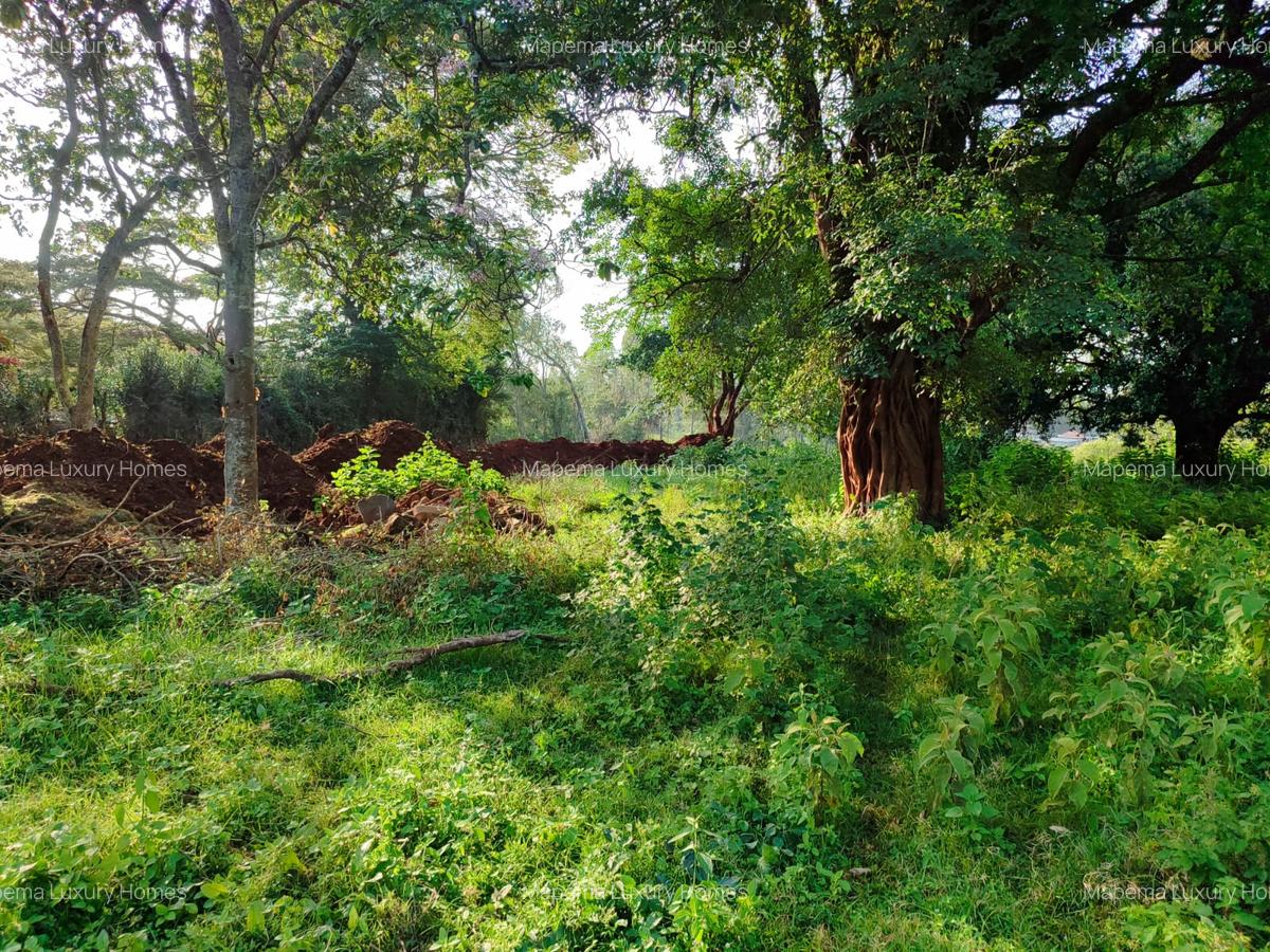 Residential Land at Karen - 4