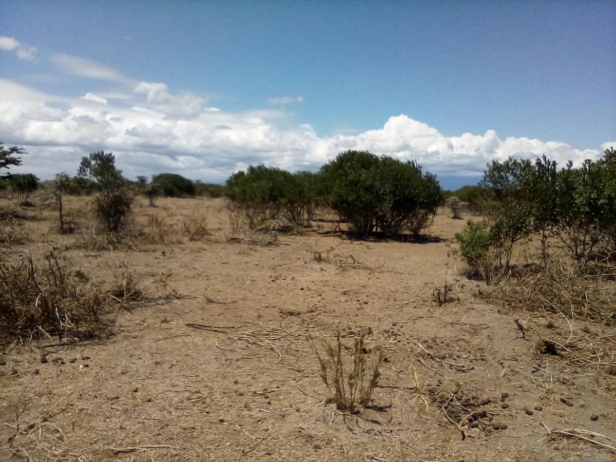 Land at Nanyuki - 17