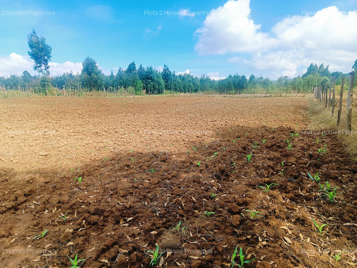 2,000 m² Residential Land at Thigio - 4