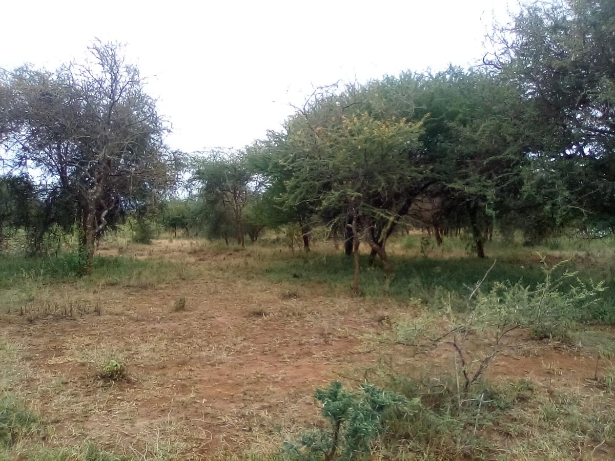 Land at Namanga Rd - 11