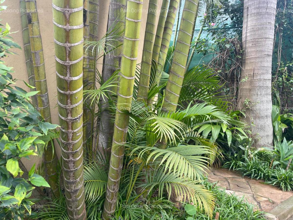 2 Bed House with En Suite in Kyuna - 17