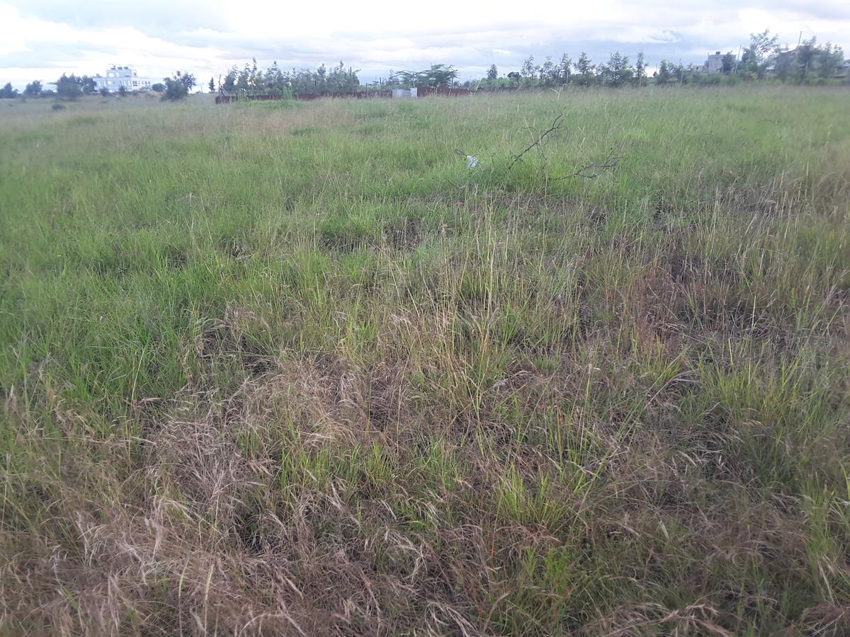 0.25 ac Land in Ongata Rongai - 10