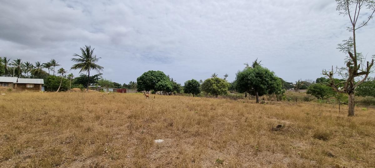 500 m² Land at Retreat - 4