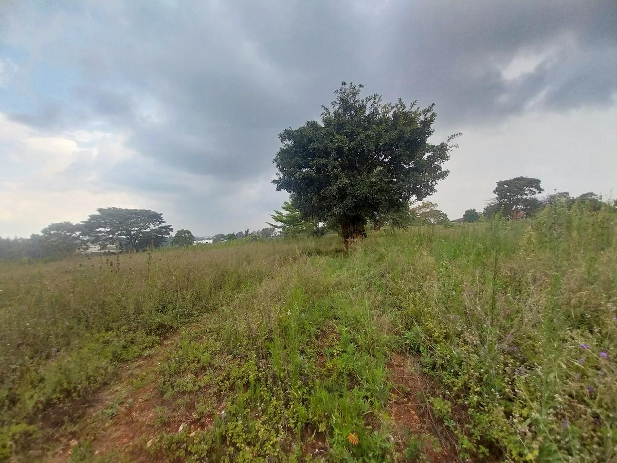 3.1 ac Land in Runda - 3