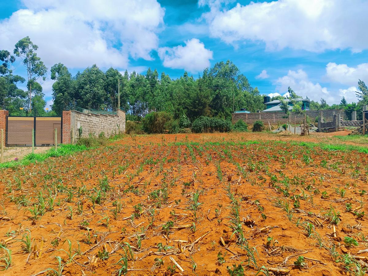 500 m² Residential Land at Nairobi Ndogo Estate - 6