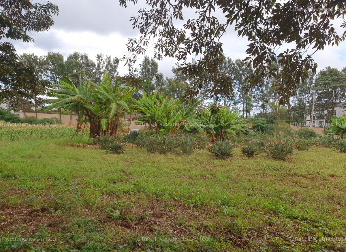 5 ac Land at Runda Paradise Off Kiambu Road - 3