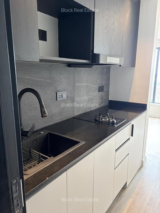 Studio Apartment with En Suite in Upper Hill - 5