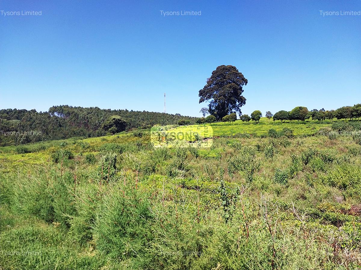 8 ac Land in Tigoni - 5