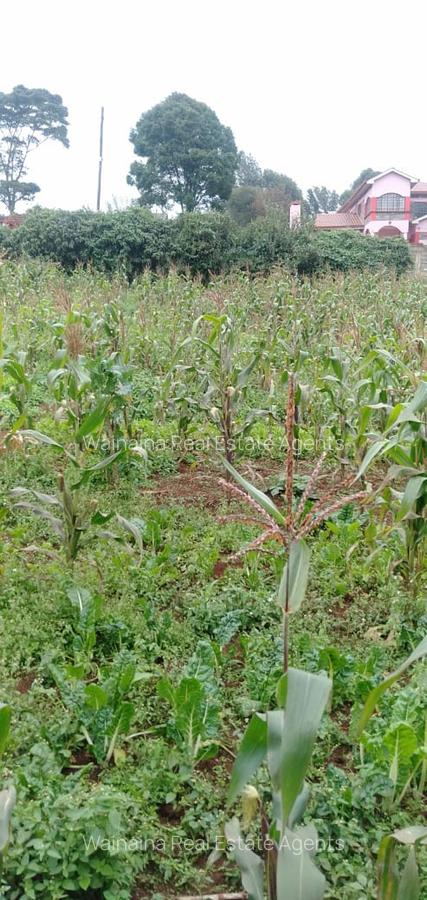 5,000 m² Land at Limuru-Karanjee - 10