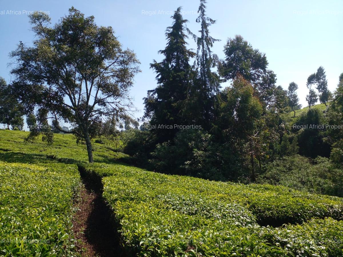 5 ac Land at Tigoni - 5