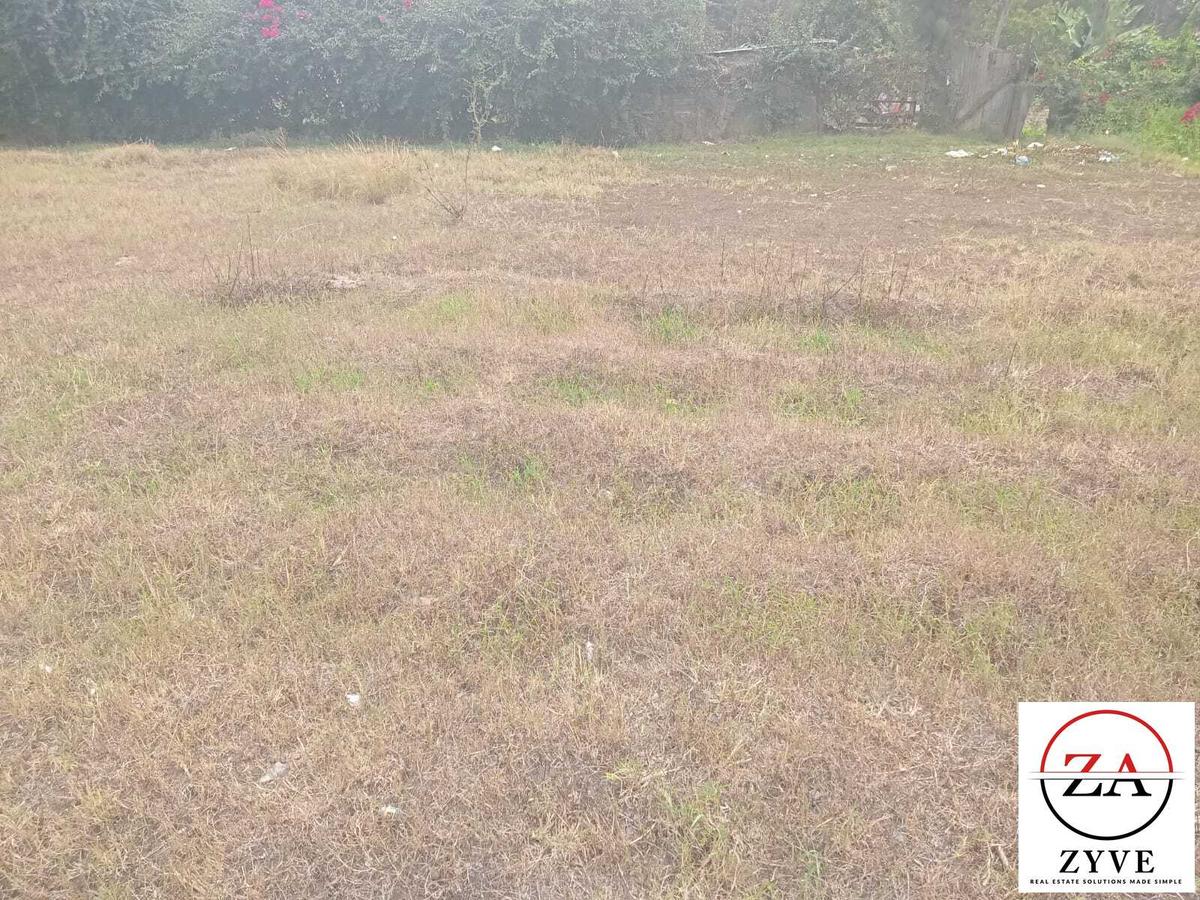 0.25 ac Land at Kerarapon Drive - 3