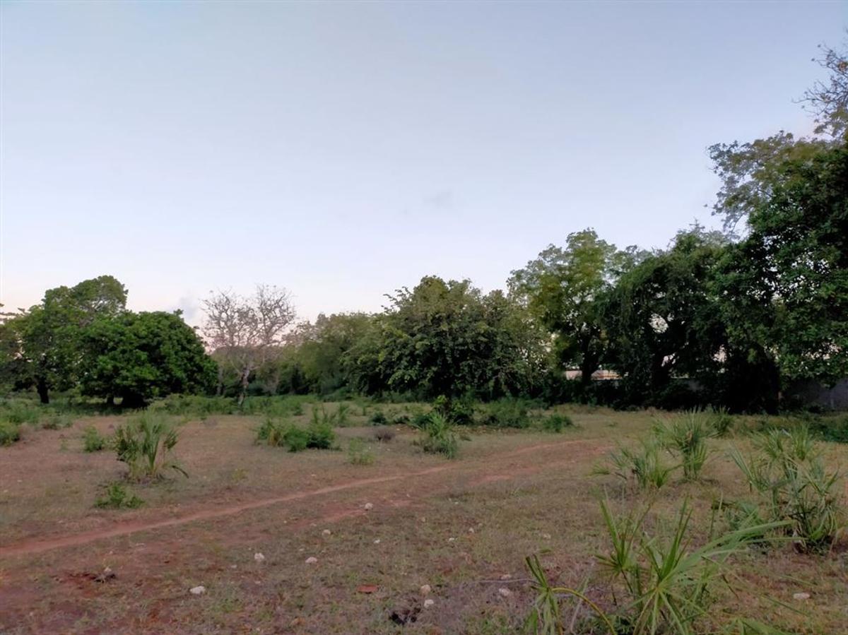 Residential Land in Nyali Area - 6