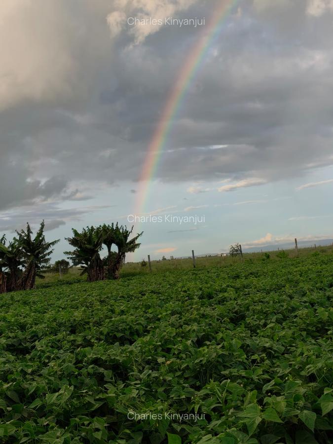 10.75 ac Land at Kisaju - 3