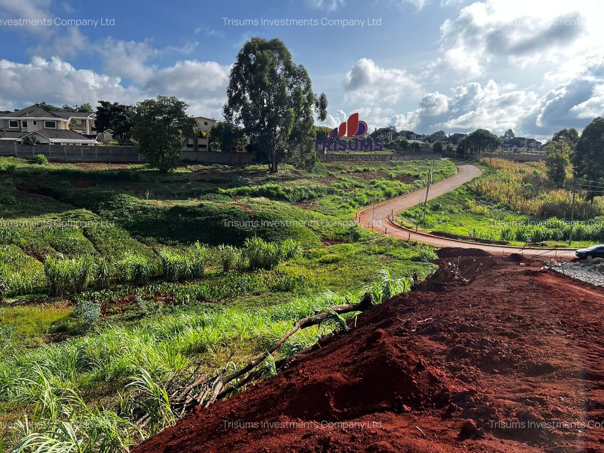 1 ac Land at Westland - 5