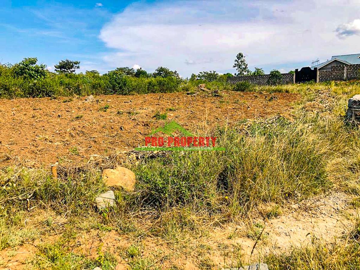 0.125 ac Land in Thika - 4