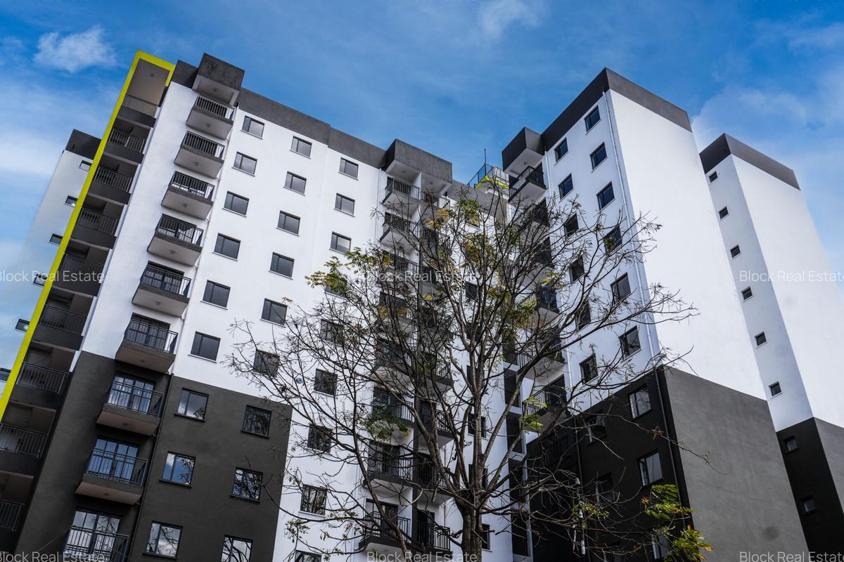 1 Bed Apartment with En Suite in Riruta - 9