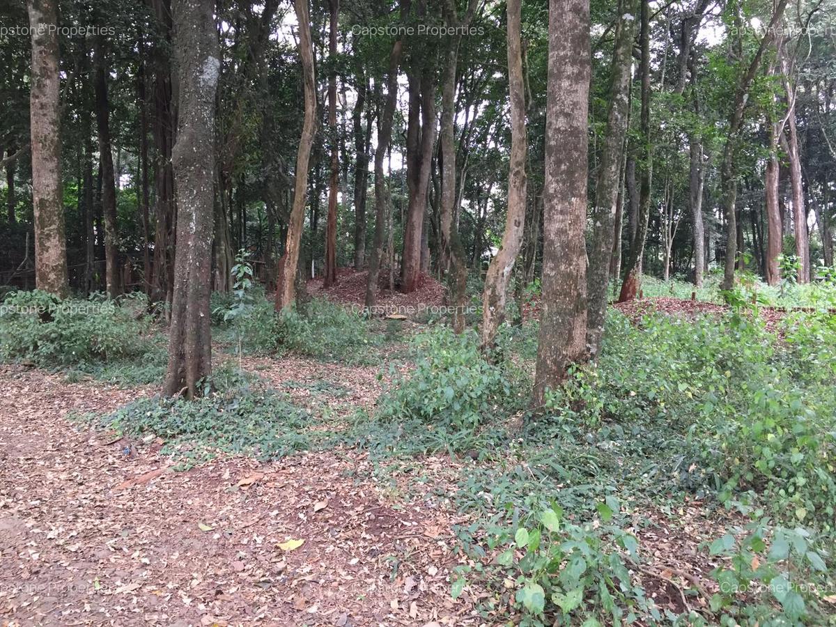 Residential Land in Karen - 2