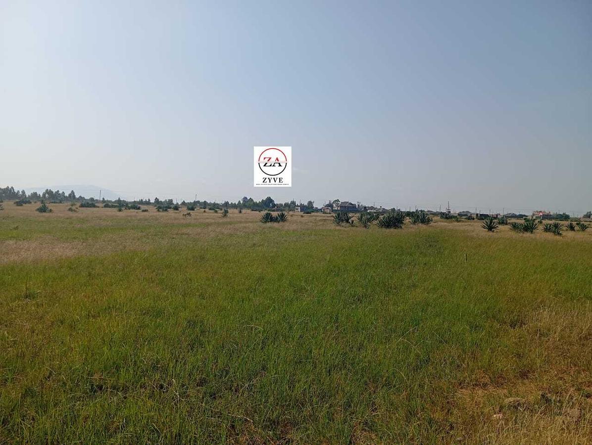 0.125 ac Land at Juja Farm - 3