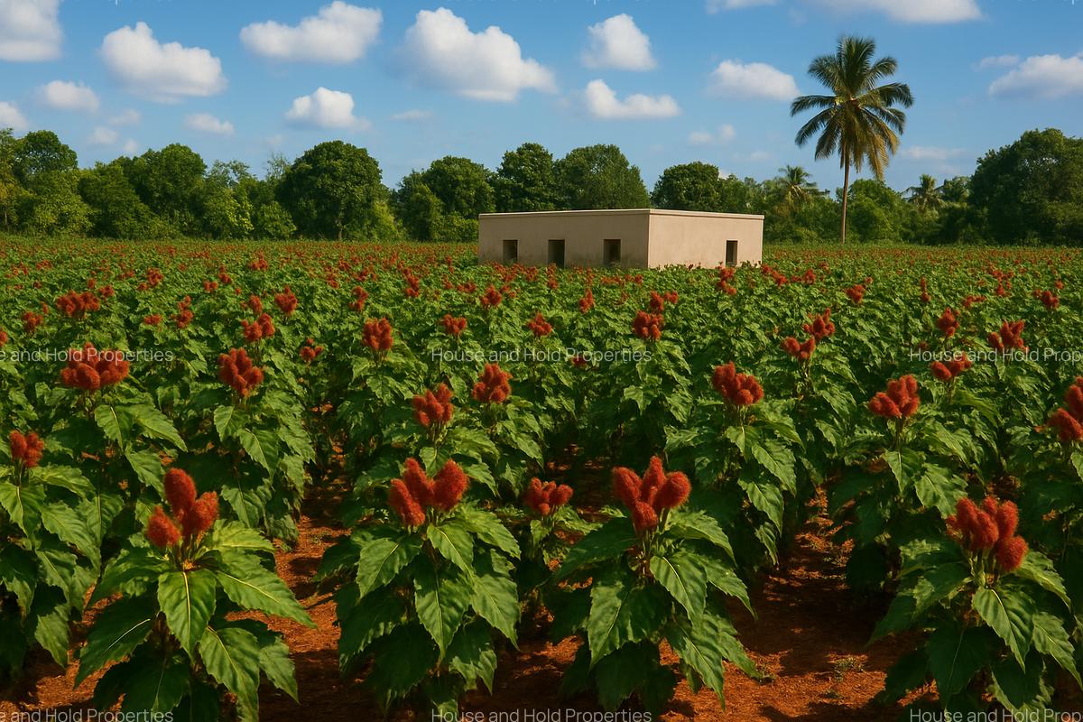 2.8 ha Commercial Land at Tiwi - 5