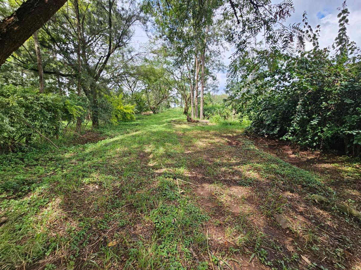 2 ac Land in Garden Estate - 3