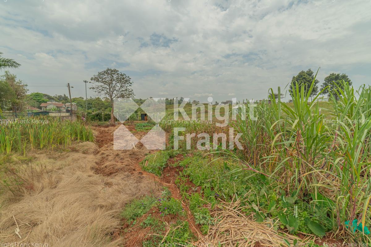 0.5 ac Land at Runda Evergreen - 2