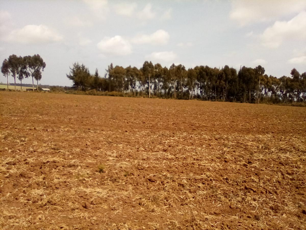 Land at Timau - 9