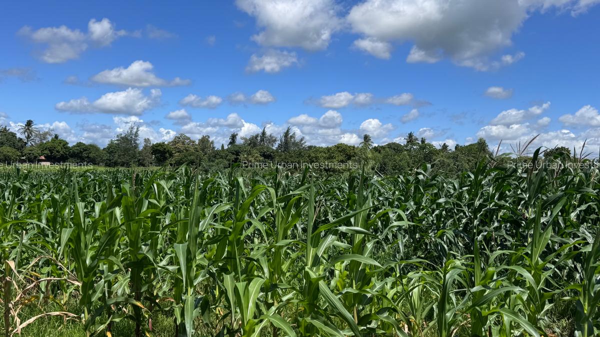 505 m² Land at Mavueni - 3