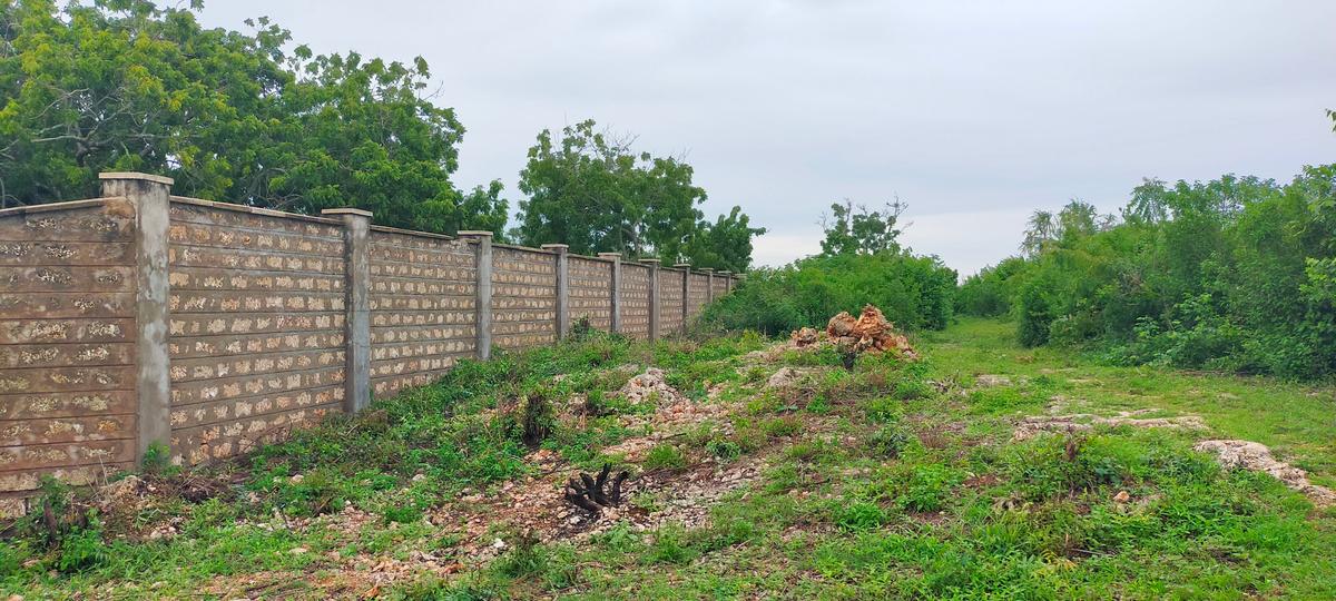 Land in Vipingo - 3