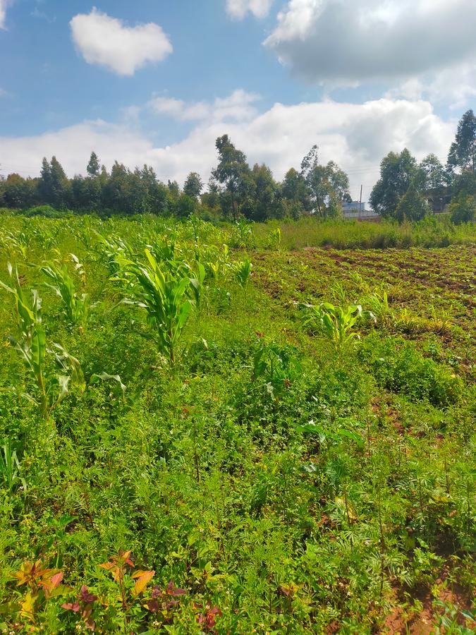 Land at Kamangu - 1