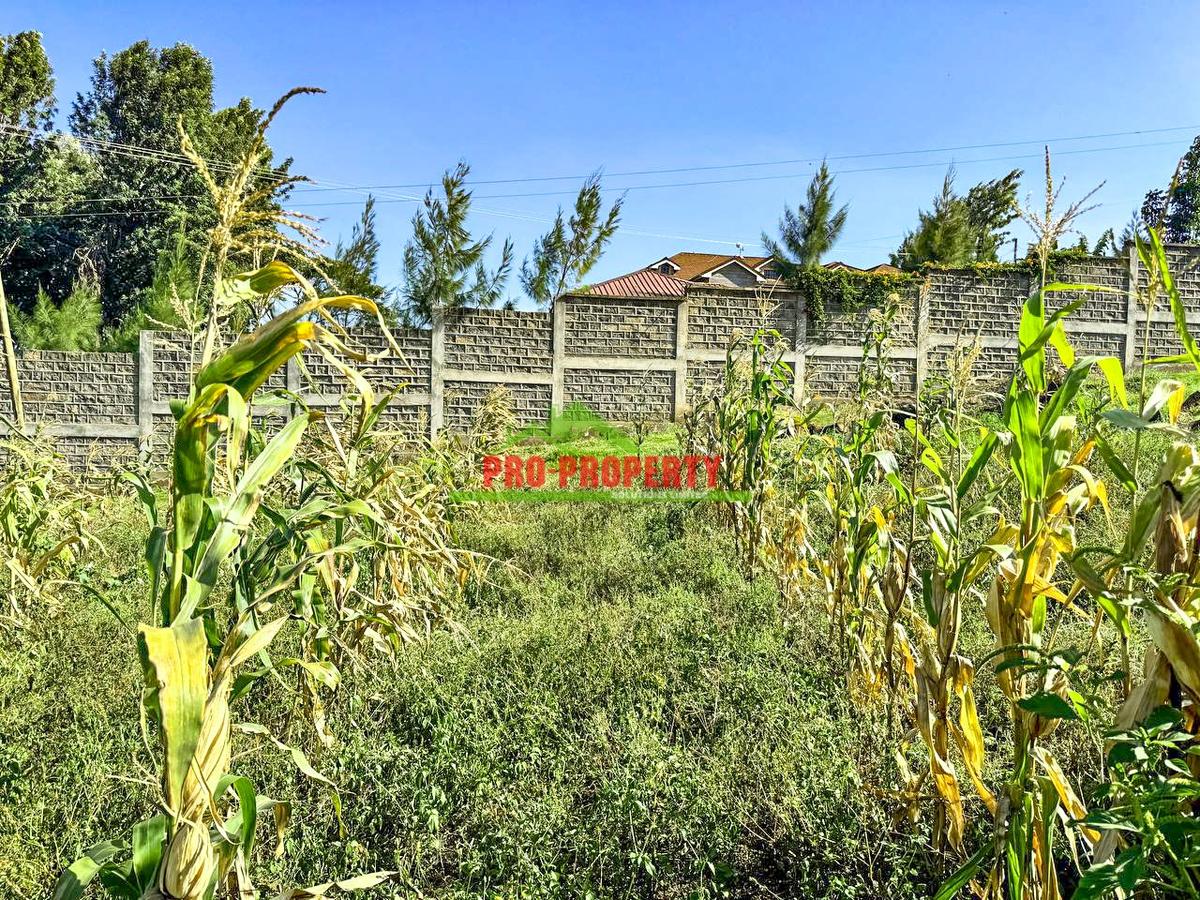 0.1 ha Residential Land at Muguga - 3