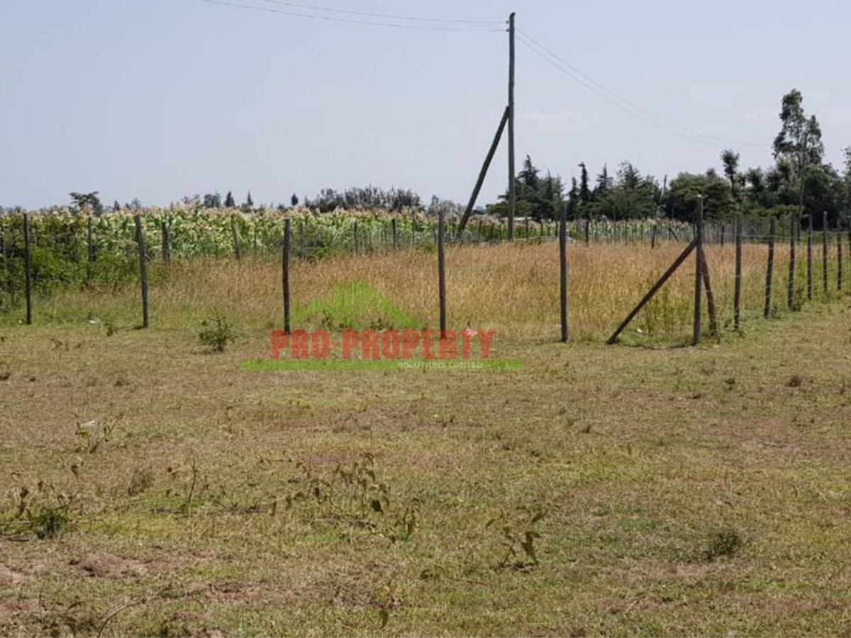 500 m² Land in Nanyuki - 12