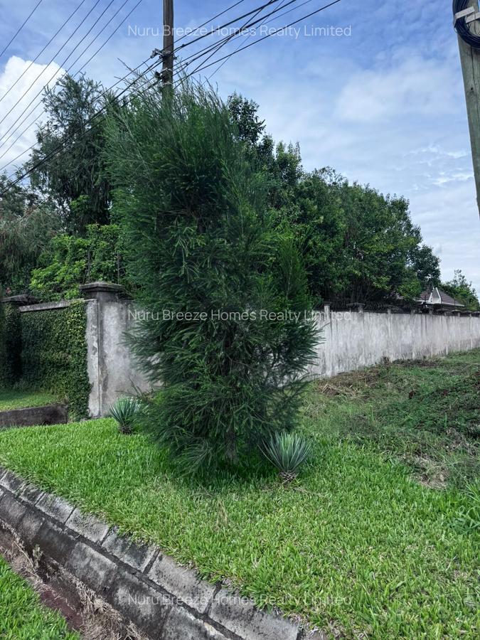 0.5 ac Land in Runda - 8