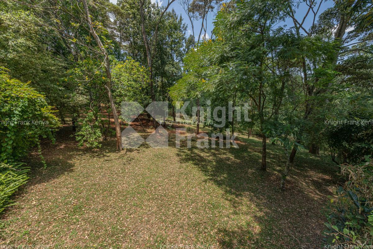 4.8 ac Land in Limuru - 8
