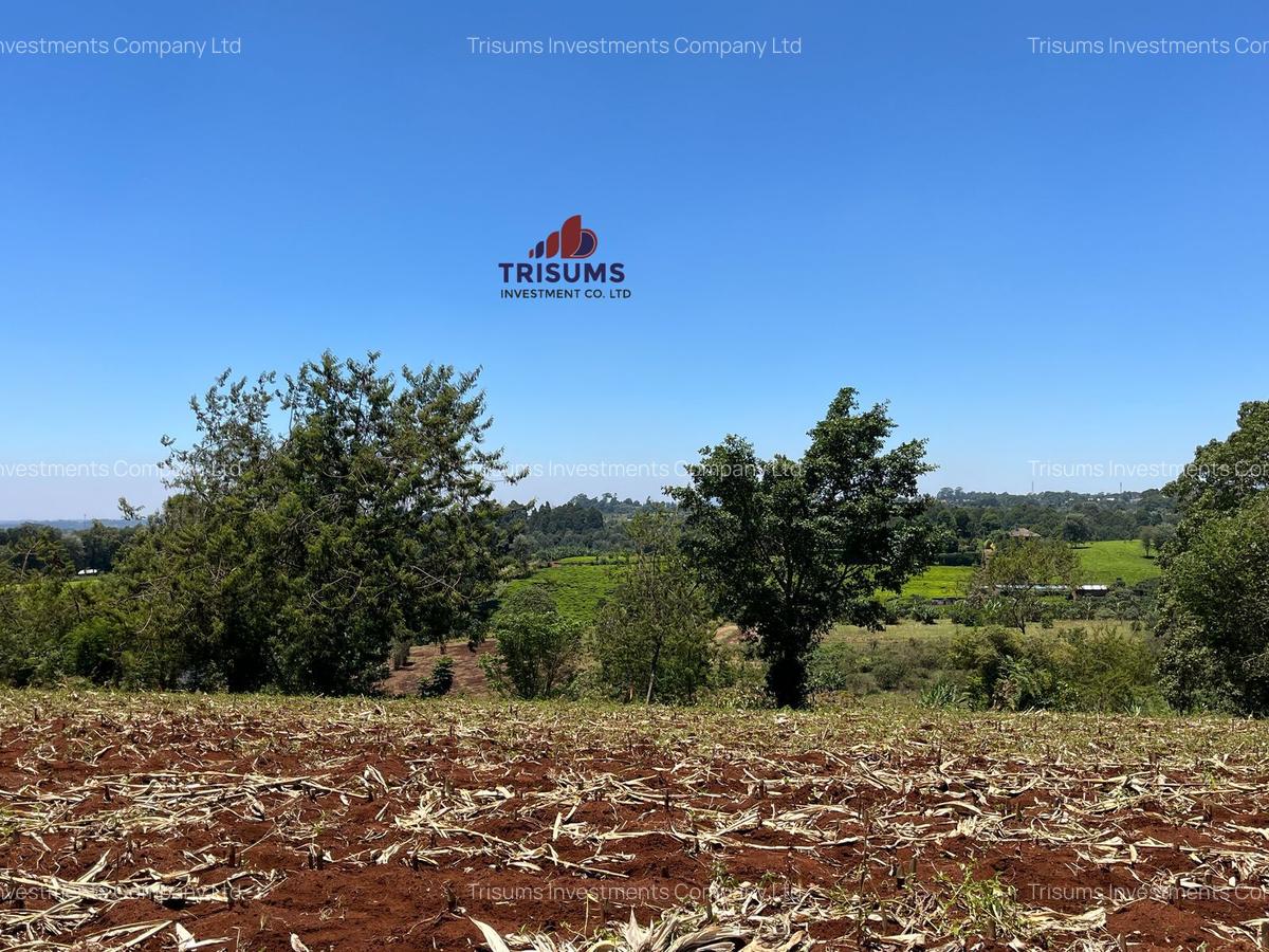 1.5 ac Land in Tigoni - 10