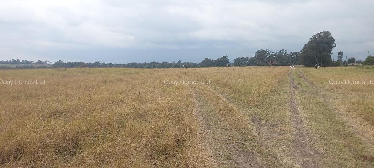 Land at Mwiyogo - 10