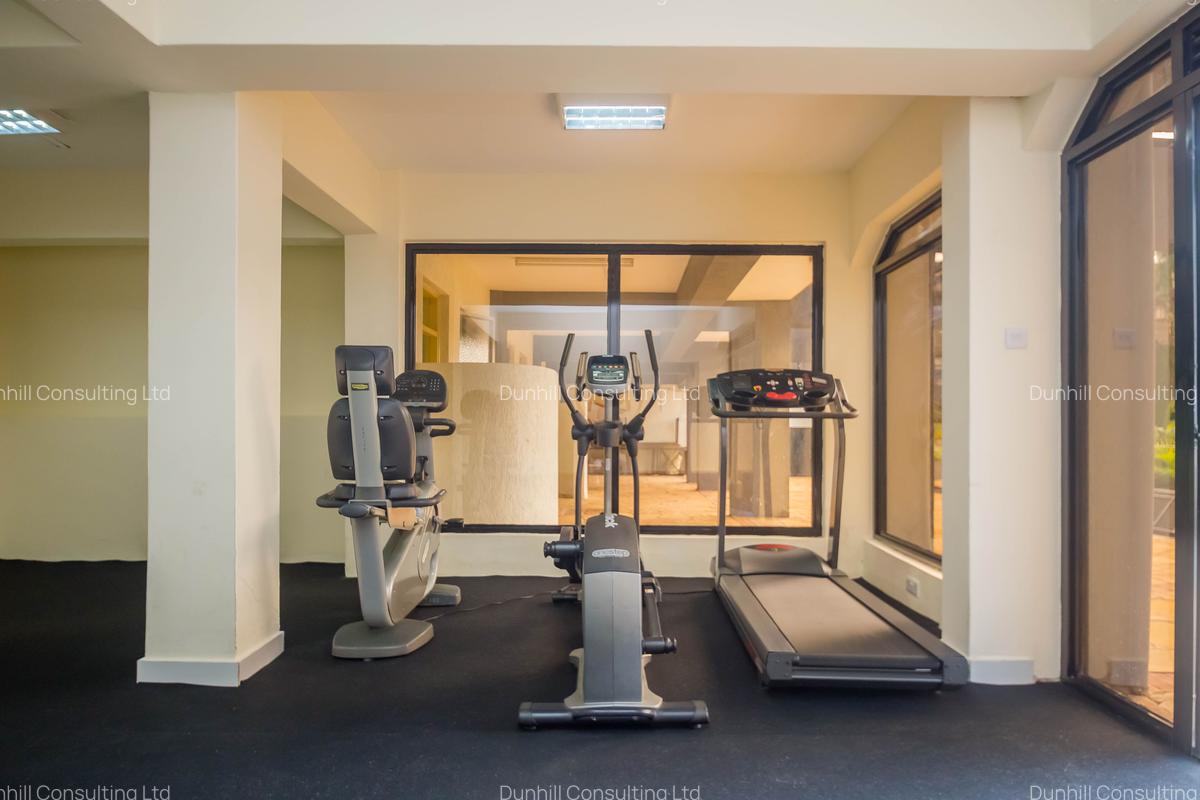 Serviced 2 Bed Apartment with Swimming Pool at David Osieli Road - 10