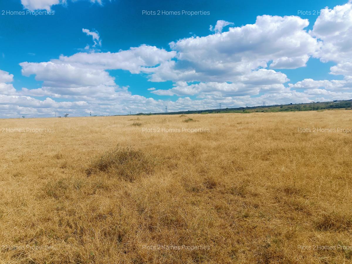 40 ac Land at Yukos - 8