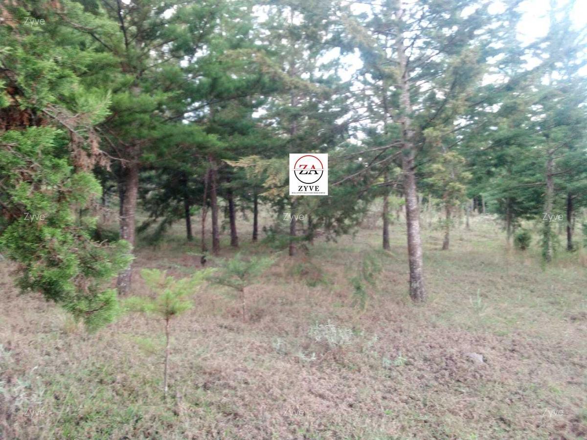 6 ac Land at Mukima Ridge - 4