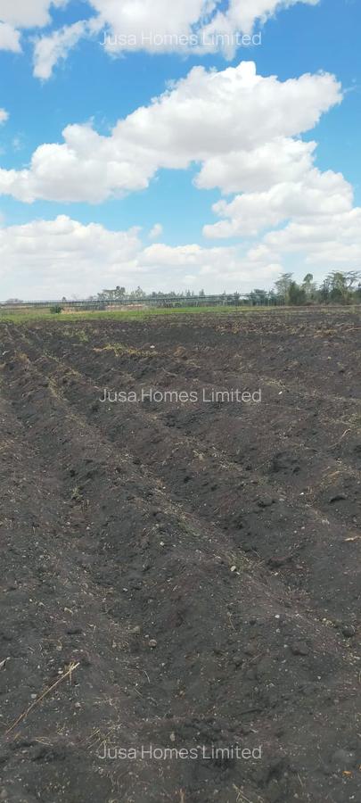 39 ac Land in Malaa - 7