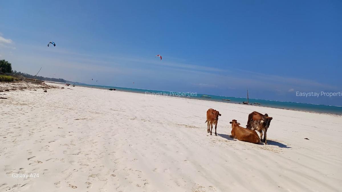 Serviced 2 Bed Apartment with En Suite in Kikambala - 17