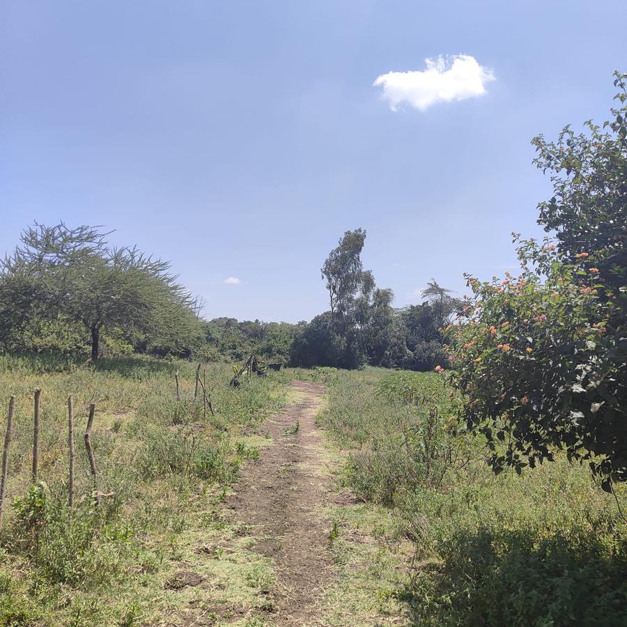 1 ac Land at Ndovu Road - 11