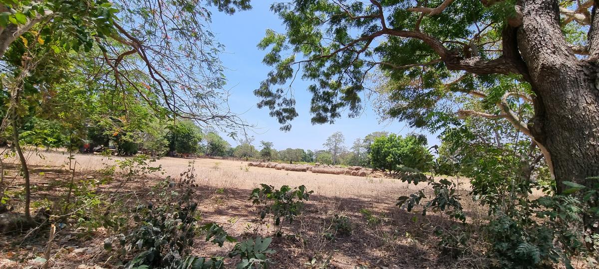 75 ac Land at Vipingo - 12