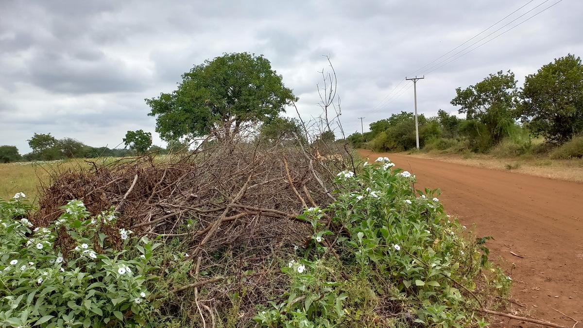 100 ac Land in Mombasa Road - 16