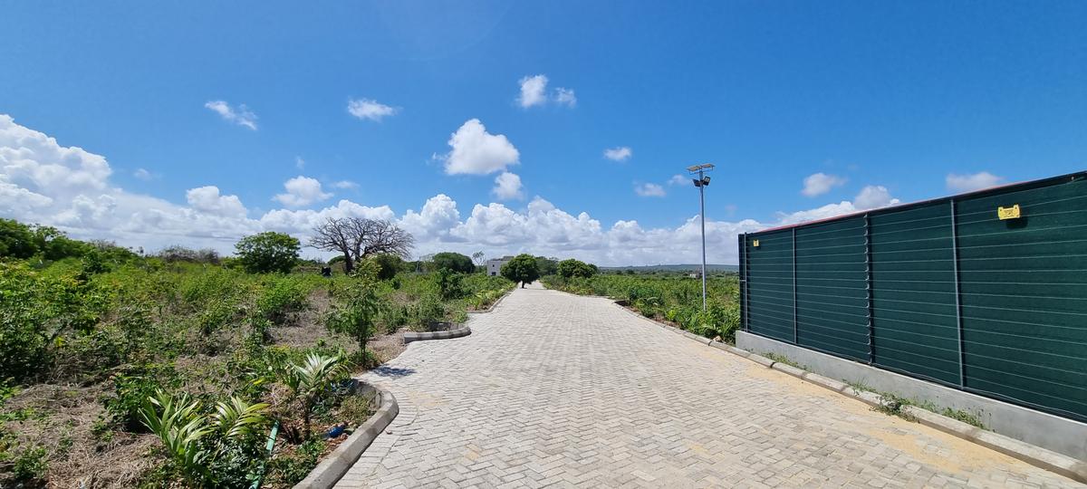 Land at Vipingo - 14