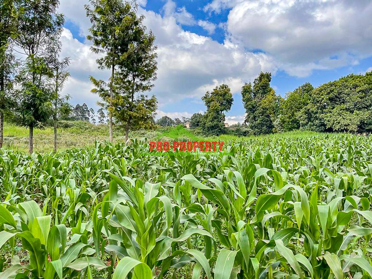 7.5 ac Land in Kikuyu Town - 1