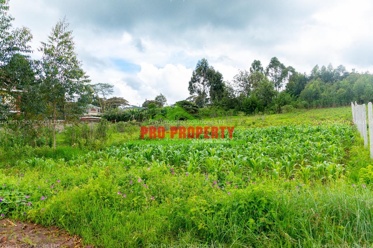 0.5 ha Commercial Land at Ondiri - 1