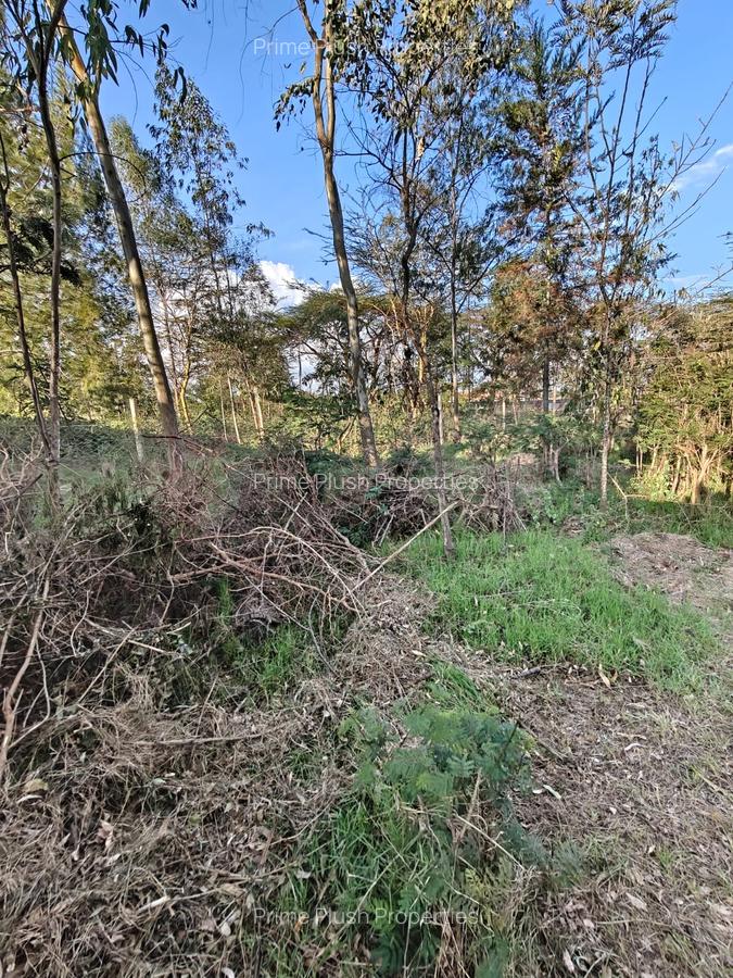 0.57 ac Land in Karen - 6