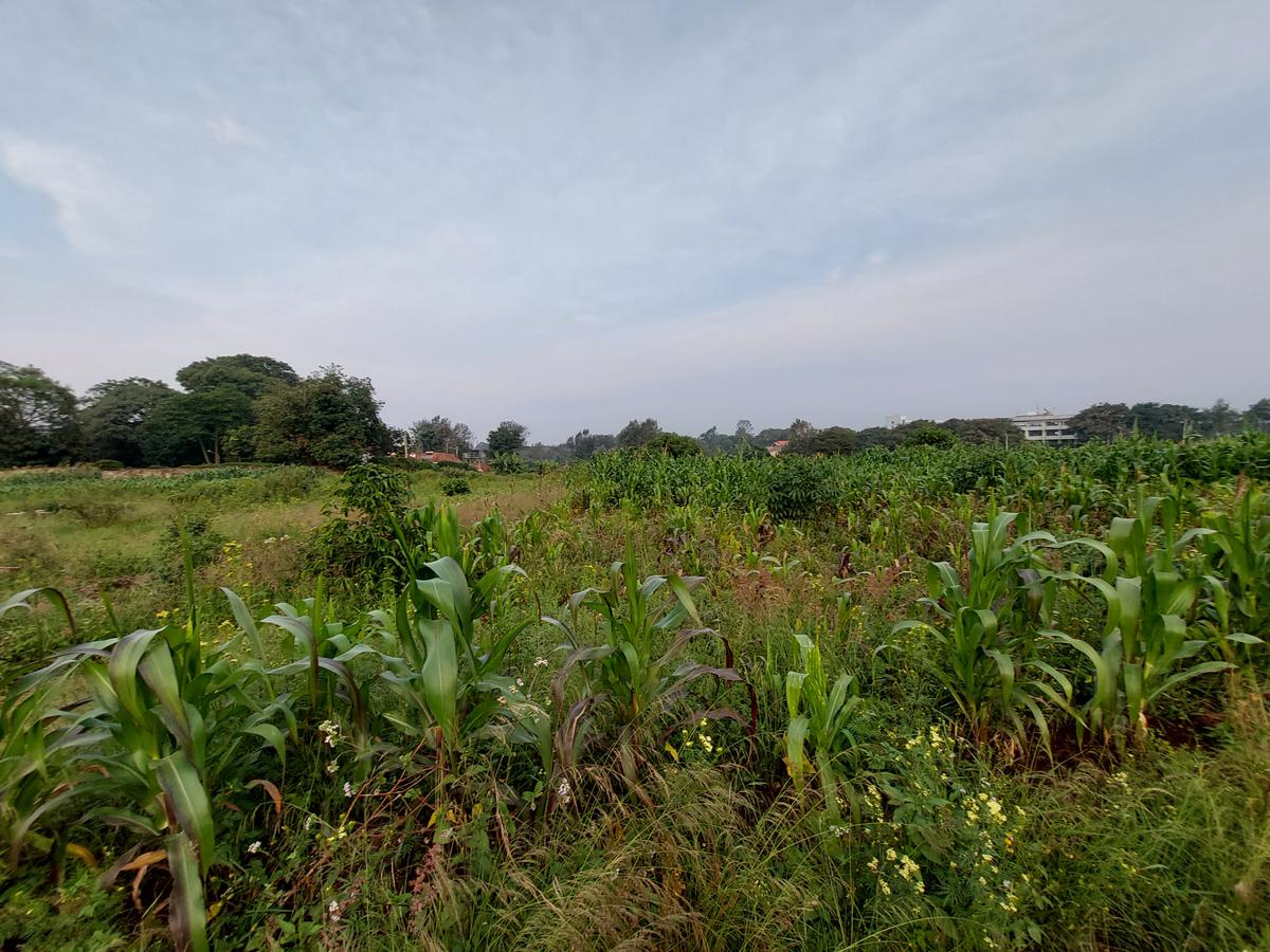 Residential Land at Kirawa Road - 10